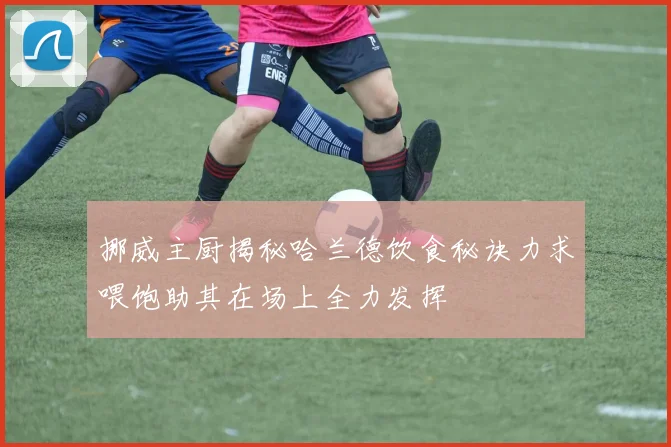 挪威主厨揭秘哈兰德饮食秘诀力求喂饱助其在场上全力发挥